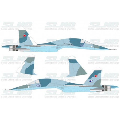 Su-27IB No:42 (T-10V-1)