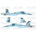 Su-27IB No:42 (T-10V-1)