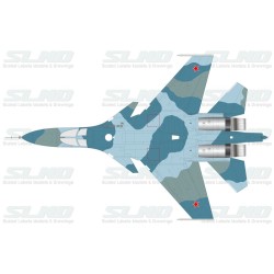 Su-27IB No:42 (T-10V-1)