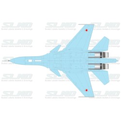 Su-27IB No:42 (T-10V-1)