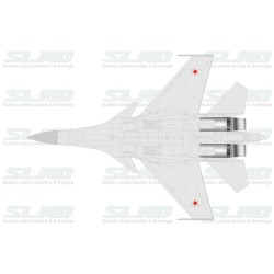 Su-35BM No:701 (T-10M-9)
