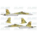 Su-30MK No:603