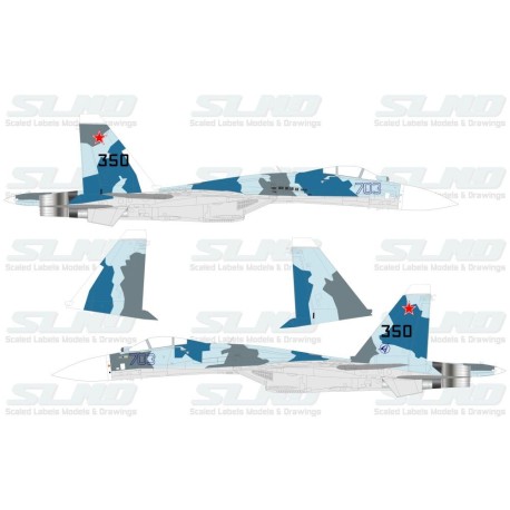 Su-35BM No:701 (T-10M-1)