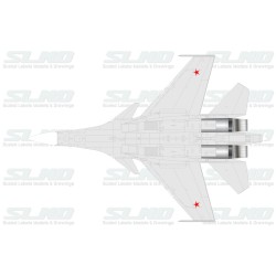 Su-35BM No:701 (T-10M-1)
