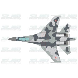 Su-35BM No:701 (T-10M-1)