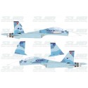 Su-30MKK Blue 501