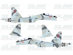 Su-30MKM Blue 04