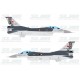 F-16C Block50 - TuAF - 181th Squadron Pars/Leopards - 071013