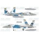 F-15C Aggressors 780494 Splintered Camo - 2006