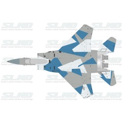 F-15C Agressors 78509 Splintered Camo