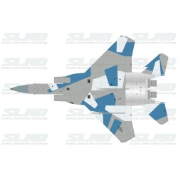 F-15C Aggressors 780494 Splintered Camo - 2006