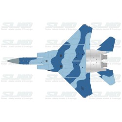 F-15C Agressors 82028 Brown Camo