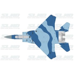 F-15D Agressors 80058 Blue Camo