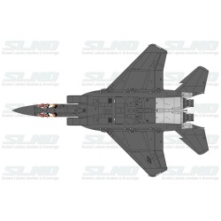 F-15C Agressors 82028 Brown Camo