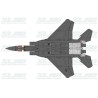 F-15C Agressors 82028 Brown Camo