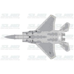 F-15C Agressors 78509 Splintered Camo