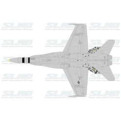 F/A-18A+ Splintered Camo 162904
