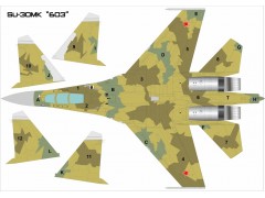 Su-30MK No:603