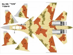 Su-35BM No:709 (T-10M-9)