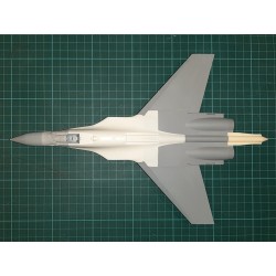 Fin