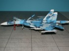 Su-27FSM_446