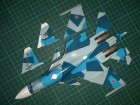 Su-33UBM_102