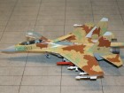 Su-30MK-603_219