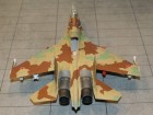 Su-30MK-603_221