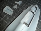 Blackbird_0387