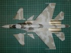 Su-35 T-10M3_067